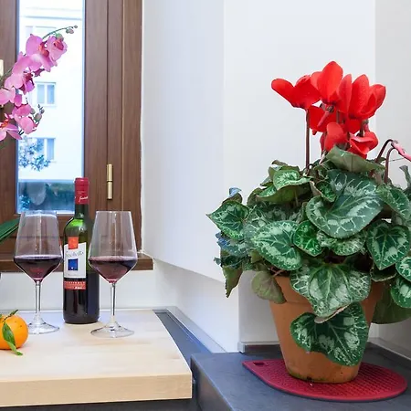 Vatican Loris House * Rome